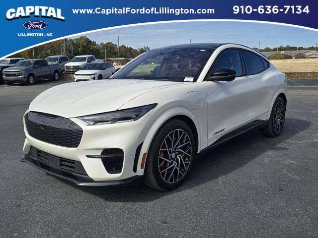 2021 Ford Mustang Mach-E GT 2021 Ford Mustang Mach-E GT