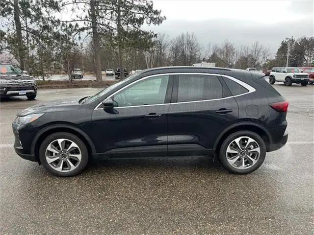 2023 Ford Escape Platinum for sale in Bemidji, MN