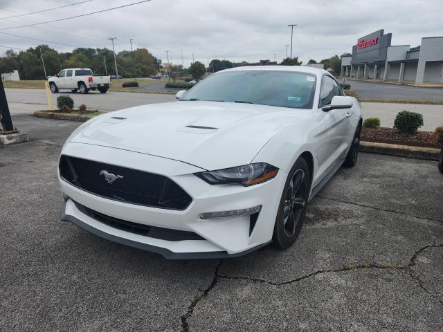 2019 Ford Mustang EcoBoost 2019 Ford Mustang EcoBoost