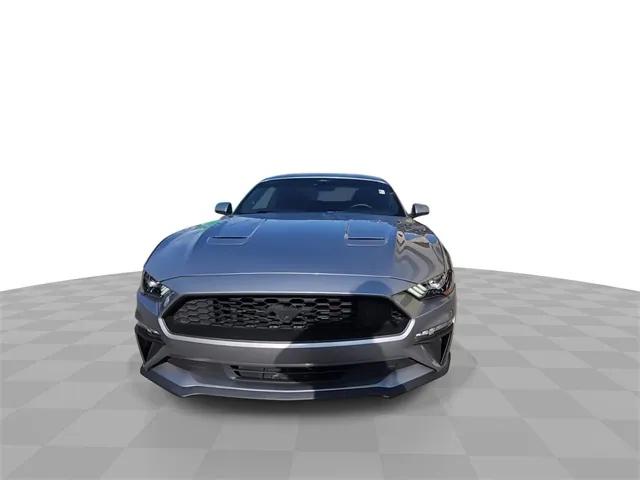 2022 Ford Mustang EcoBoost Fastback 2022 Ford Mustang EcoBoost Fastback