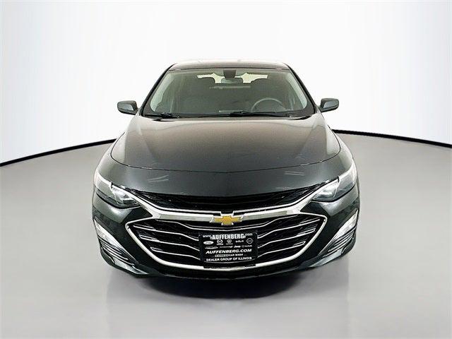 2019 Chevrolet Malibu 1LS 2019 Chevrolet Malibu 1LS