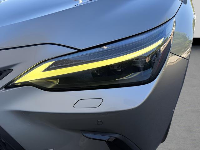 2022 Lexus NX Luxury