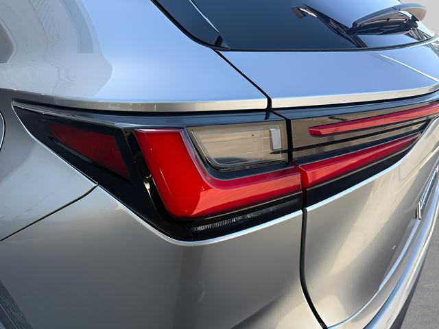 2022 Lexus NX Luxury