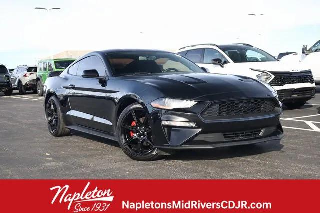 2020 Ford Mustang EcoBoost Fastback 2020 Ford Mustang EcoBoost Fastback