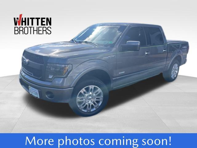 2014 Ford F-150 Platinum 2014 Ford F-150 Platinum