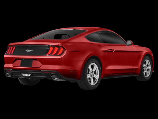 2019 Ford Mustang EcoBoost Premium 2019 Ford Mustang EcoBoost Premium