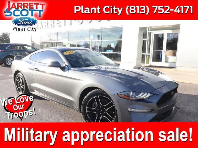 2022 Ford Mustang EcoBoost Fastback for sale in Plant City, FL
