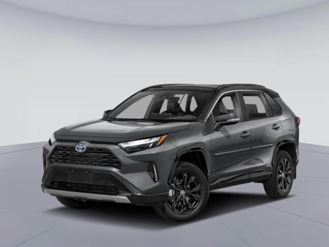2025 Toyota RAV4 Hybrid XSE [19]