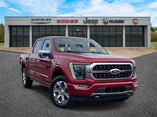 2022 Ford F-150 Platinum 2022 Ford F-150 Platinum