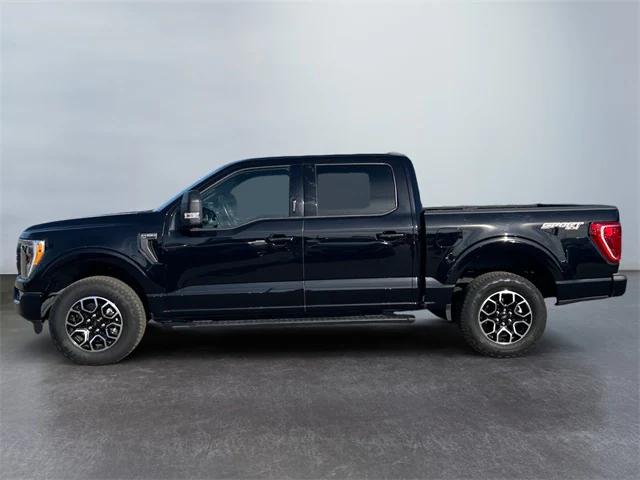 2023 Ford F-150 XLT 2023 Ford F-150 XLT