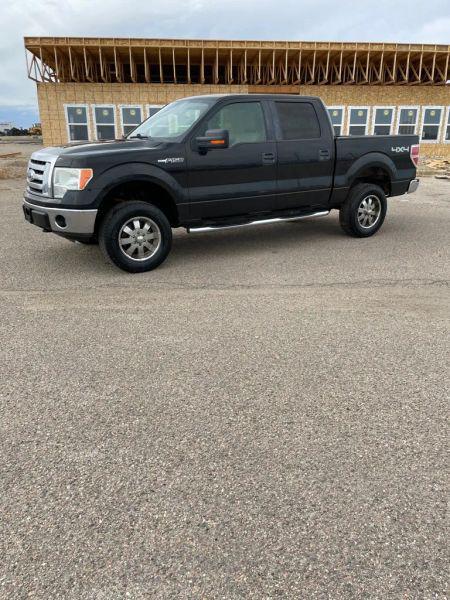 2010 Ford F-150 XL
