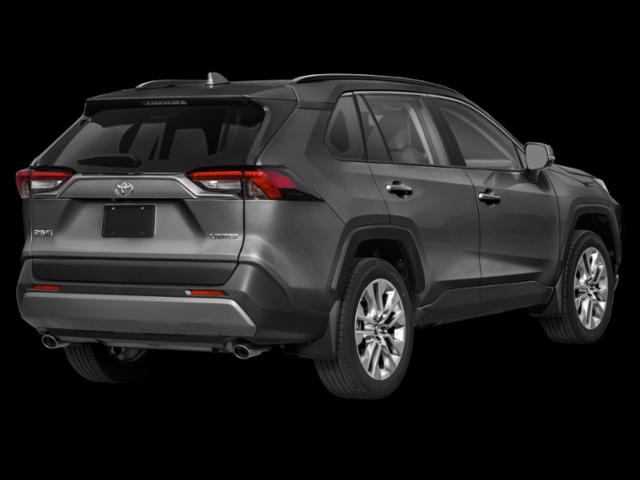 2019 Toyota RAV4 Limited 2019 Toyota RAV4 Limited