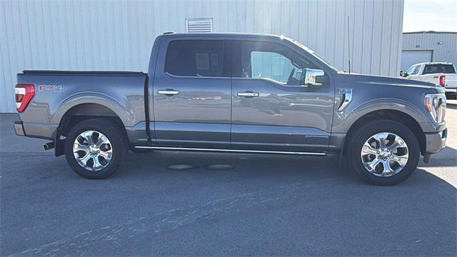 2023 Ford F-150 Platinum 2023 Ford F-150 Platinum