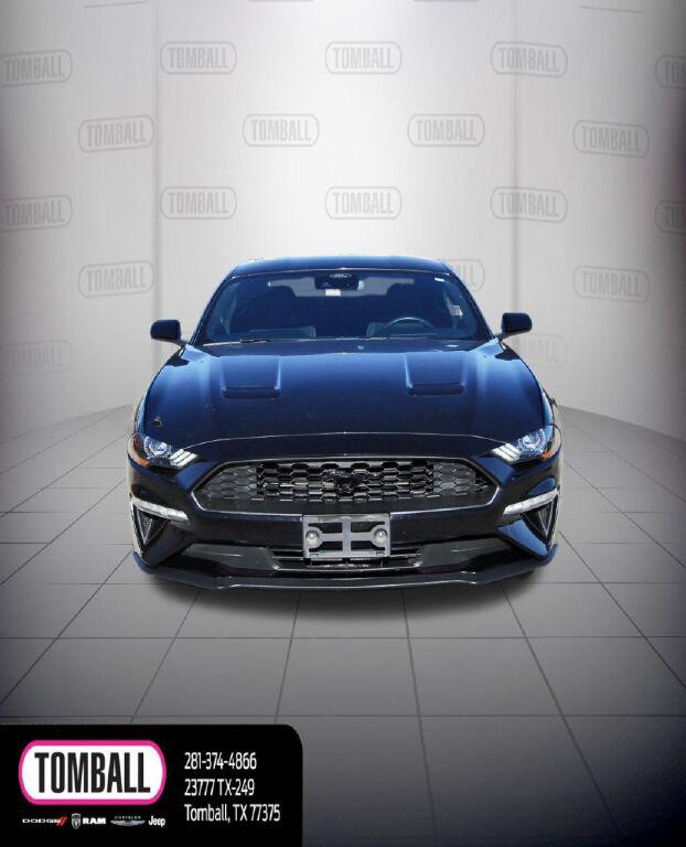 2021 Ford Mustang EcoBoost Fastback 2021 Ford Mustang EcoBoost Fastback