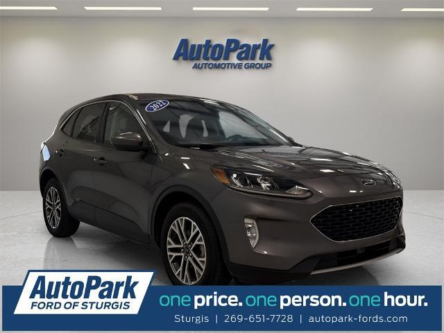 2022 Ford Escape SEL for sale in Sturgis, MI