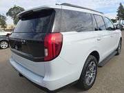 2025 Ford Expedition Active 2025 Ford Expedition Active