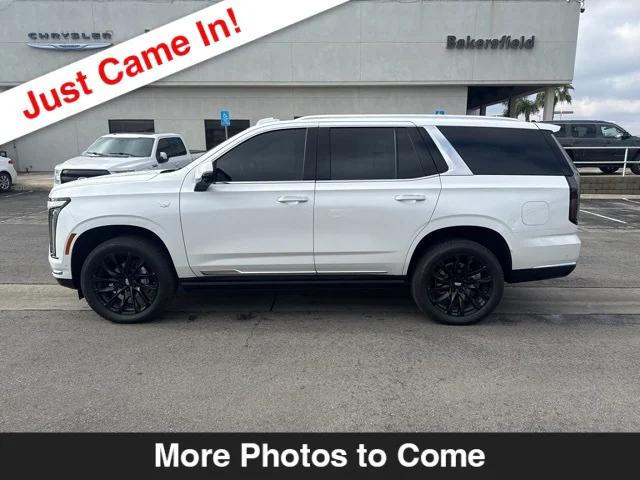 2025 Cadillac Escalade Premium Luxury 2025 Cadillac Escalade Premium Luxury