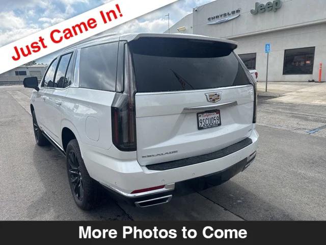 2025 Cadillac Escalade Premium Luxury 2025 Cadillac Escalade Premium Luxury