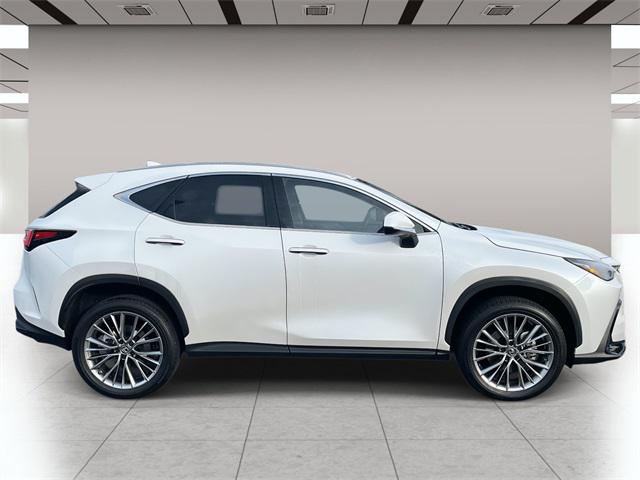 2025 Lexus NX 350h Premium