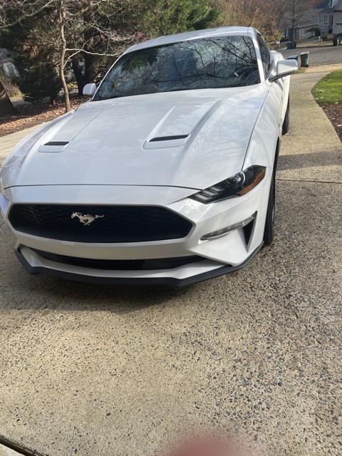 2019 Ford Mustang EcoBoost 2019 Ford Mustang EcoBoost