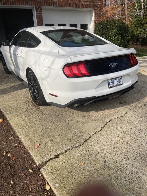 2019 Ford Mustang EcoBoost 2019 Ford Mustang EcoBoost