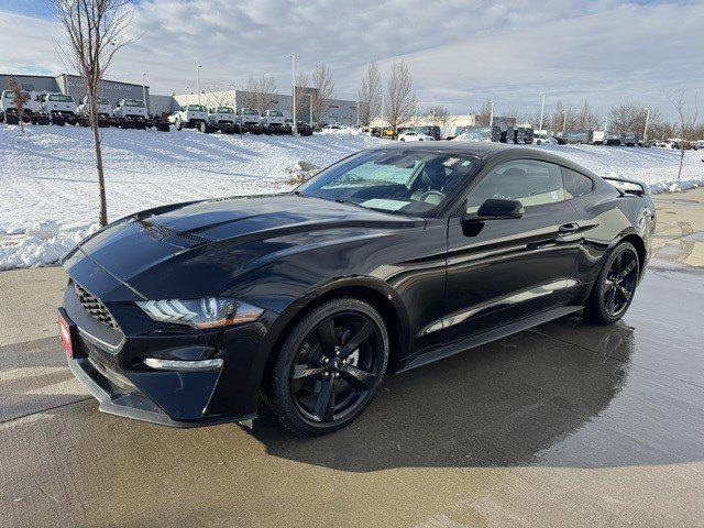2023 Ford Mustang EcoBoost Premium Fastback 2023 Ford Mustang EcoBoost Premium Fastback
