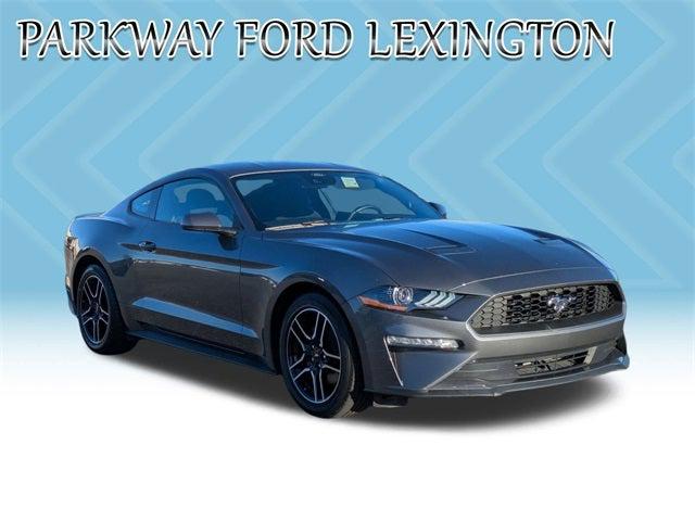 2022 Ford Mustang EcoBoost