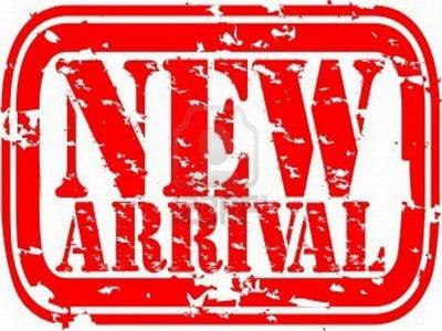 2013 RAM 2500 Tradesman 2013 RAM 2500 Tradesman