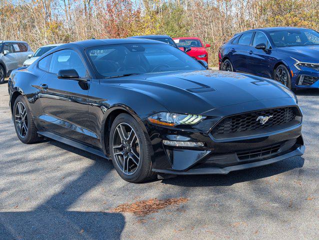 2023 Ford Mustang EcoBoost Fastback