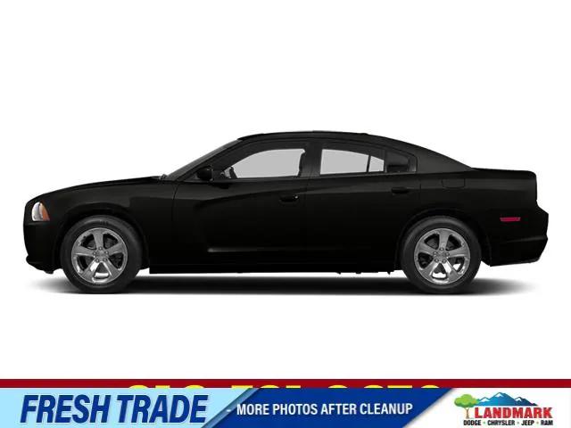 2014 Dodge Charger R/T Max