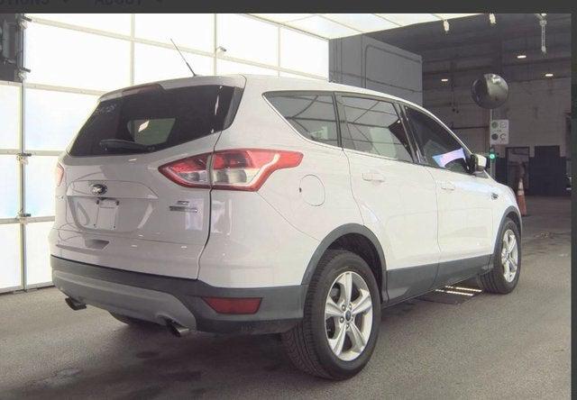2015 Ford Escape SE 2015 Ford Escape SE