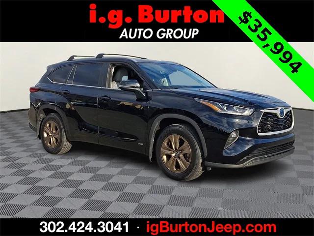 2023 Toyota Highlander Hybrid XLE Bronze