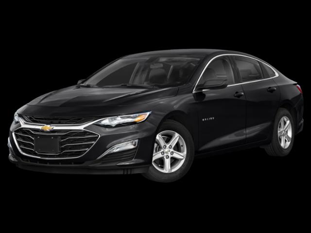 2019 Chevrolet Malibu 1FL