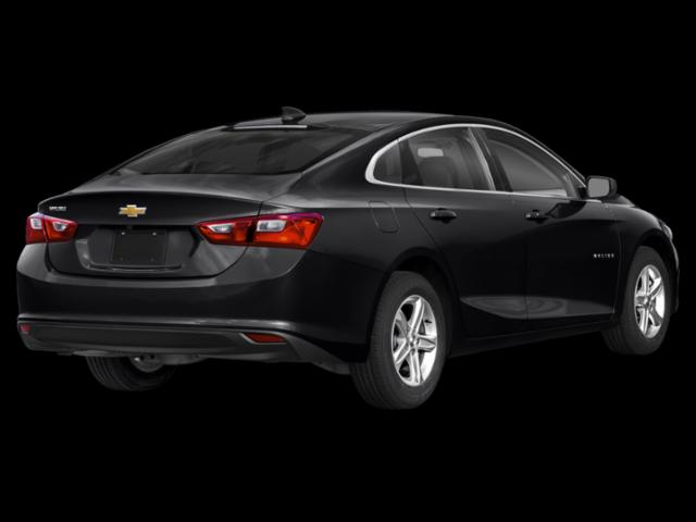 2019 Chevrolet Malibu 1FL
