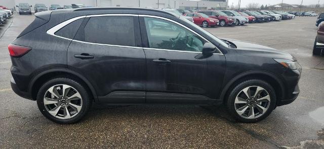 2024 Ford Escape Platinum for sale in North Branch, MN