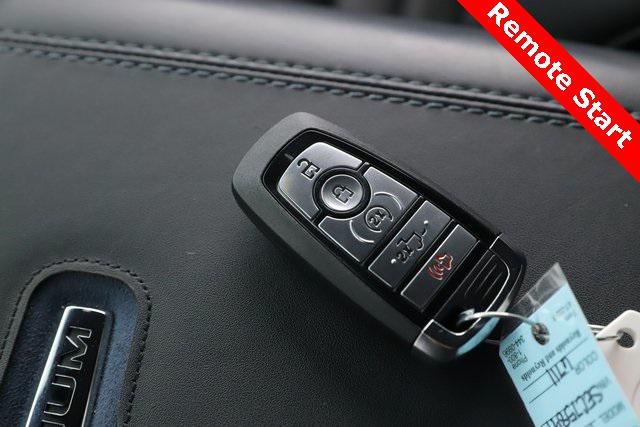 2025 Ford F-450 Platinum 2025 Ford F-450 Platinum