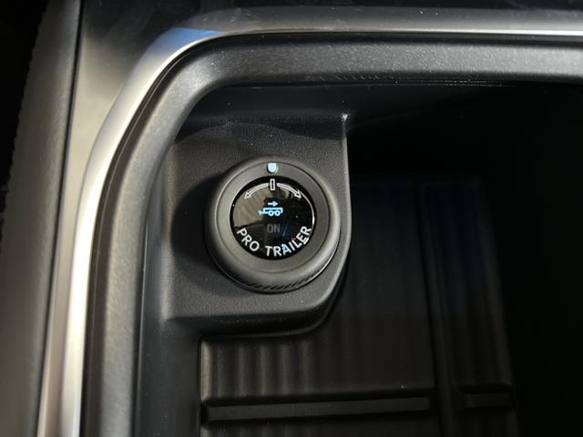2026 Ford Expedition Max Active MAX