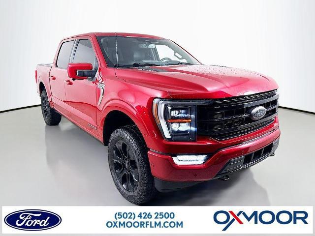 2023 Ford F-150 Platinum for sale in Louisville, KY