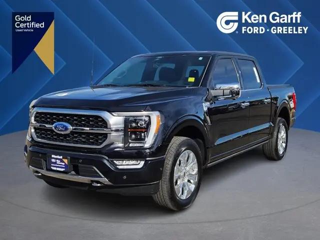 2022 Ford F-150 Platinum for sale in Ft. Collins, CO
