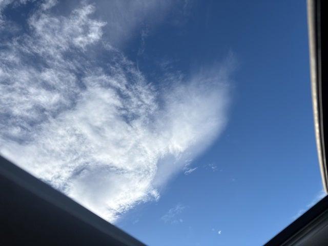 2021 Kia Telluride SX 2021 Kia Telluride SX