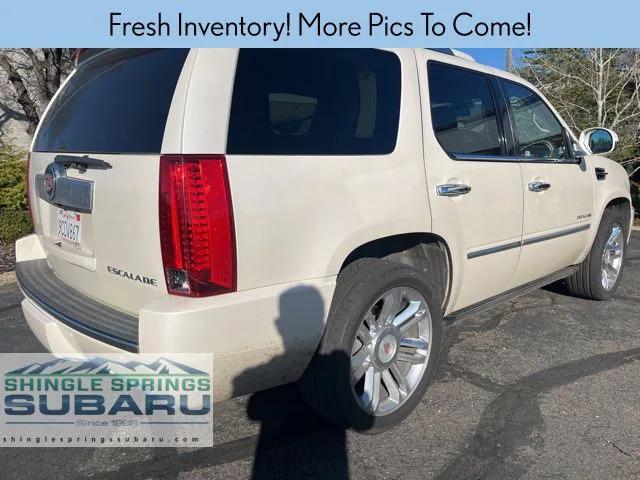 2013 Cadillac Escalade Platinum Edition