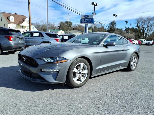 2023 Ford Mustang EcoBoost Fastback for sale in Martinsburg, WV