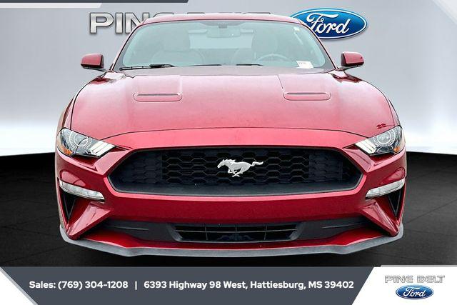 2019 Ford Mustang EcoBoost 2019 Ford Mustang EcoBoost