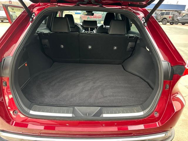 2024 Toyota Venza XLE
