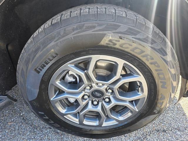 2025 Ford Expedition Active MAX
