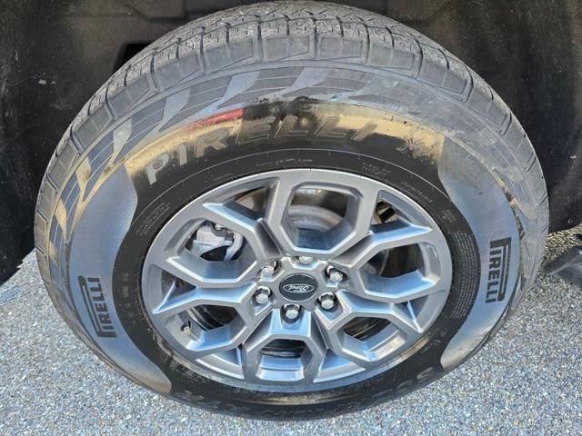2025 Ford Expedition Active MAX