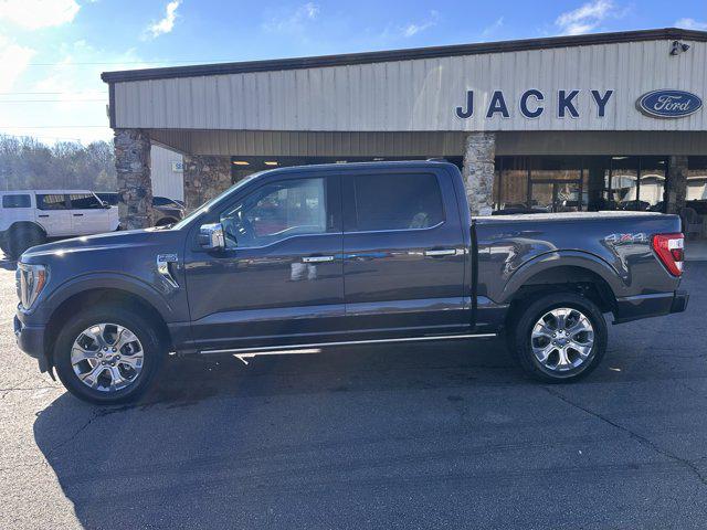 2022 Ford F-150 Platinum for sale in Hayesville, NC