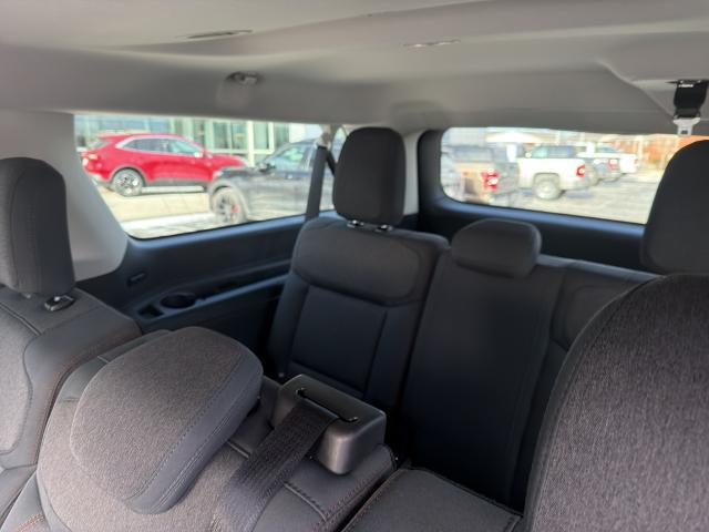 2025 Ford Expedition Active MAX