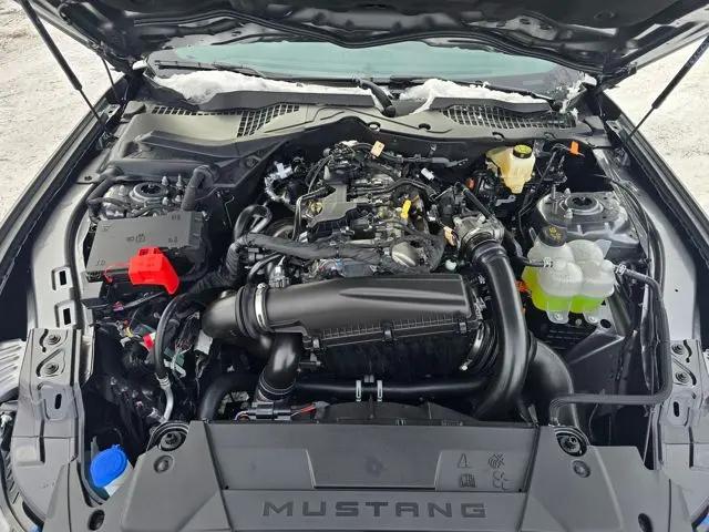 2026 Ford Mustang EcoBoost Fastback