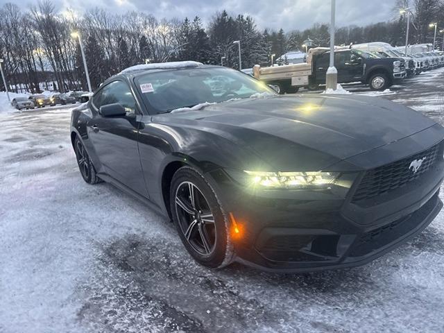 2025 Ford Mustang EcoBoost Fastback